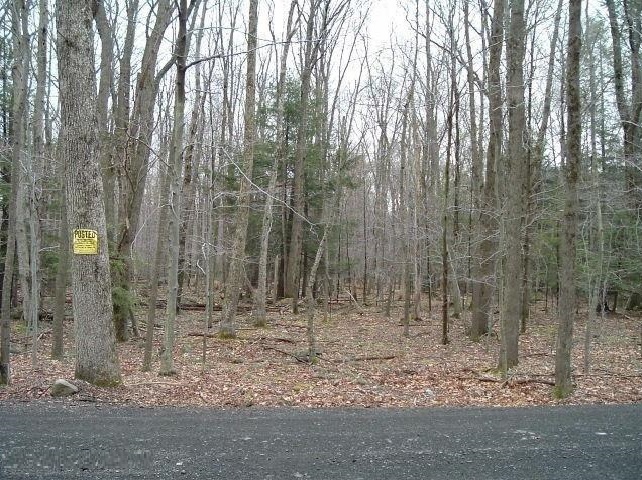 Front Land View of Holiday Pocono Real Estate